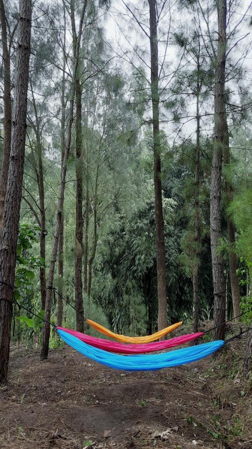 Bromo Dormitory & Cabin Exterior foto
